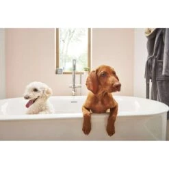 American Standard | Studio S 68" Free Standing Acrylic Soaking Tub With Center Drain And Overflow -Faucet 2549004020 18