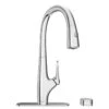 American Standard | Saybrook Single-Handle Pull-Down Dual Spray Kitchen Faucet 1.5 Gpm/5.7 L/min With Filter -Faucet 4902330002 1