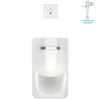 American Standard | Greenbrook 0.125 GPF Rear Spud Urinal With EverClean Technology - Includes Flushometer -Faucet 6517.001B 1
