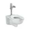 American Standard | Afwall 1.28 GPF Elongated One-Piece Toilet With Top Spud And Flushometer - Less Seat