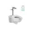 American Standard | Afwall 1.6 GPF One-Piece Elongated Toilet With Top Spud, Flushometer And Seat Included -Faucet american standard 2856 016 020 b