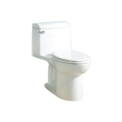 American Standard | Champion 4 Elongated One-Piece Toilet With EverClean Surface, Right Height Bowl - Includes Slow-Close Seat -Faucet clean 2034314b